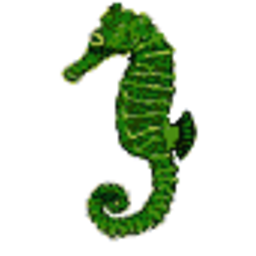 Seahorse 4 — seahorse emoji for Slack & Discord (Discord)