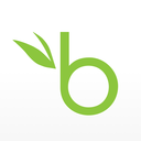 Bamboohr — logo emoji for Slack & Discord