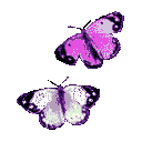 Purple Butterflies — butterfly emoji for Slack & Discord