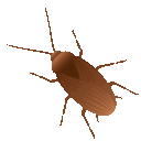 Cockroach — animal emoji for Slack & Discord