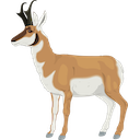 Pronghorn Antelope — animal emoji for Slack & Discord