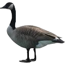 Goose 2 — animal emoji for Slack & Discord