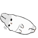 Rabbitroll — cute emoji for Slack & Discord