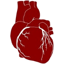 Anatomical Heart — heart emoji for Slack & Discord