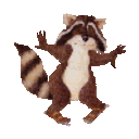 Racoon Potty Dance — cartoon emoji for Slack & Discord