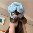 Otterblanky — otter emoji for Slack & Discord