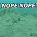 Nope Nope Nope — animation emoji for Slack & Discord