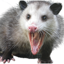 Mapossum — animal emoji for Slack & Discord