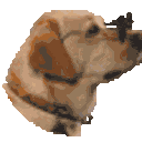 Dog Cool — dog emoji for Slack & Discord