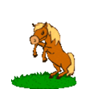 Horse — cartoon emoji for Slack & Discord