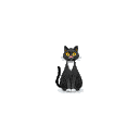 Cool Cat — black-cat emoji for Slack & Discord