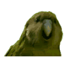 Parrothd — parrot emoji for Slack & Discord