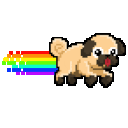 Nyan Pug 2 — cartoon emoji for Slack & Discord