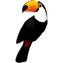 Toucan — toucan emoji for Slack & Discord