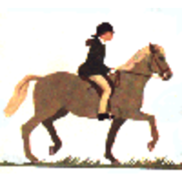 Horse Riding — cartoon emoji for Slack & Discord (Discord)