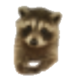 Polite Raccoon — cute emoji for Slack & Discord (Discord)