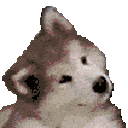 Confused Dog — dog emoji for Slack & Discord