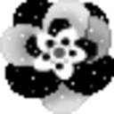 Flower Bw — flower emoji for Slack & Discord