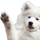 Hai Doge — animal emoji for Slack & Discord (Slack)