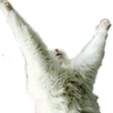 Cat Praising — cat emoji for Slack & Discord