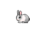 Bunny Hop 2 — cartoon emoji for Slack & Discord
