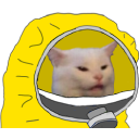 Hazmat Cat — cat emoji for Slack & Discord