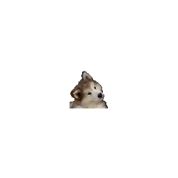 Dog Cute — dog emoji for Slack & Discord (Discord)