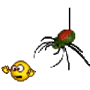 Scary Spider — cartoon emoji for Slack & Discord