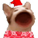 Popcat Xmas — cat emoji for Slack & Discord