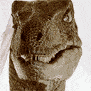 Raptor Disagrees — funny emoji for Slack & Discord