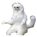 Wtfq — animal emoji for Slack & Discord