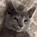 Cat Happy — cat emoji for Slack & Discord