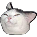 Sumgcat — cat emoji for Slack & Discord