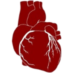 Anatomical Heart — heart emoji for Slack & Discord (Discord)