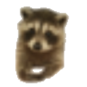 Polite Raccoon — cute emoji for Slack & Discord