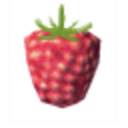 Raspberry — fruit emoji for Slack & Discord