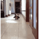 Cutedog26 — cute emoji for Slack & Discord