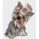 Yorkie — dog emoji for Slack & Discord