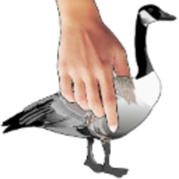 Takeagander — animal emoji for Slack & Discord (Discord)