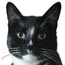 Clooney — cat emoji for Slack & Discord (Discord)