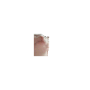 Vibing Cat — cat emoji for Slack & Discord