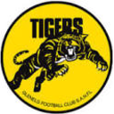 Afl Tigers — logo emoji for Slack & Discord