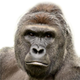 Harambe — animal emoji for Slack & Discord (Discord)