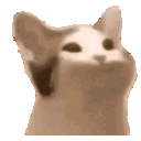 Pop Cat — cat emoji for Slack & Discord