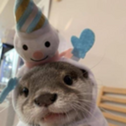 Smilingotter — cute emoji for Slack & Discord (Discord)