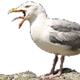 Moas — animal emoji for Slack & Discord (Discord)