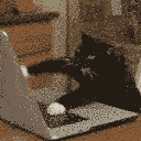 Coding — cat emoji for Slack & Discord