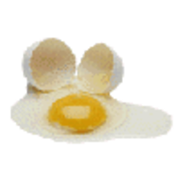 Cracked Egg — food emoji for Slack & Discord (Discord)
