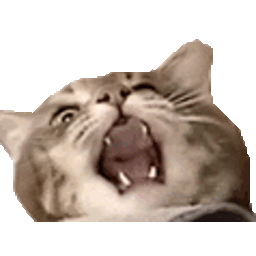 Jonas Yassing — cat emoji for Slack & Discord (Discord)