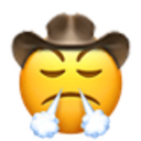 Triumphant Cowboy — cowboy emoji for Slack & Discord